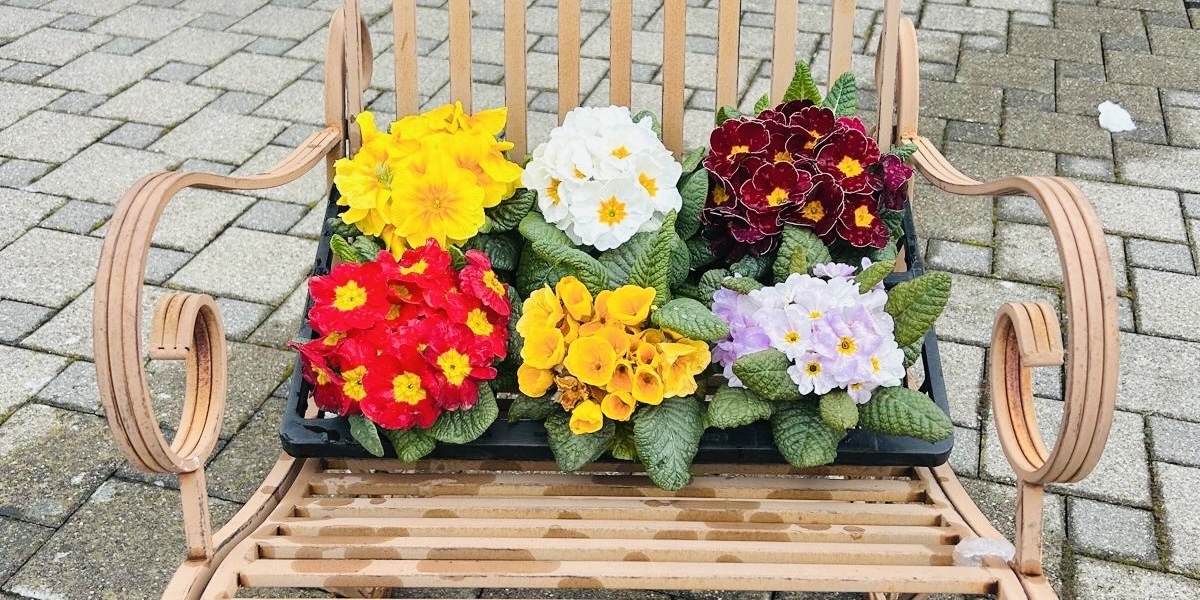 Gartenstuhl mit Blumen